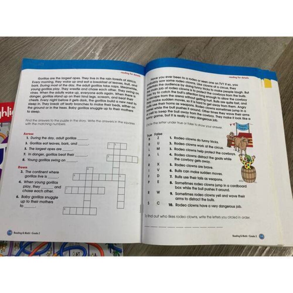 Ultimate Puzzle Challenge & 2nd Grade Workbook Bundle Highlights Kids Activities - Picture 9 of 12